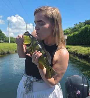 The peacock bass bite is heating up in Fort Lauderdale, Florida alongside incredible largemouth bass fishing action.