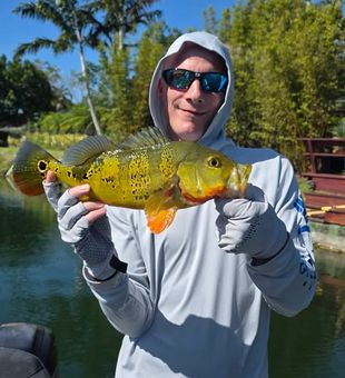 Fort Lauderdale freshwater fishing trips are perfect for anglers targeting aggressive peacock bass and trophy largemouth bass.