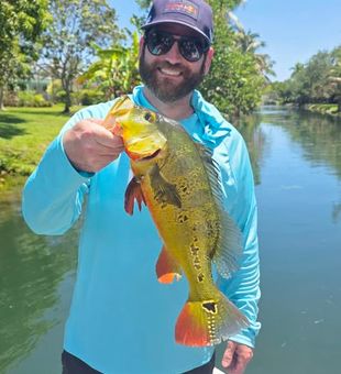 Spend the day catching peacock bass and largemouth bass in Fort Lauderdale, FL while enjoying warm weather and scenic canal fishing.