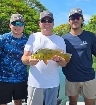 Target trophy bass in Fort Lauderdale's productive freshwater canals with the help of an experienced local guide.