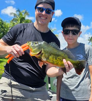 Fort Lauderdale peacock bass bringing the tropical fishing action!