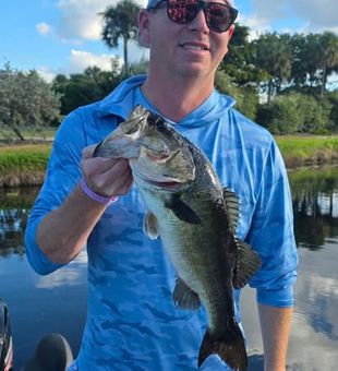 Large-mouth bass! - Hialeah, FL.