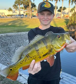 Florida Bass Fishing Adventures