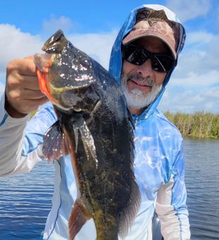 Trophy Peacock Bass on the line today