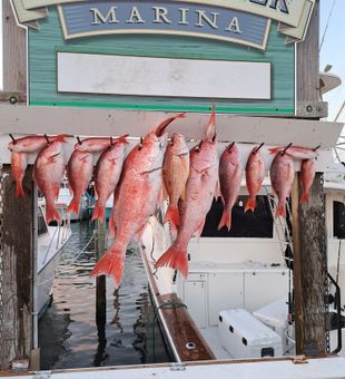Snapper Fishing Season in Destin, FL
