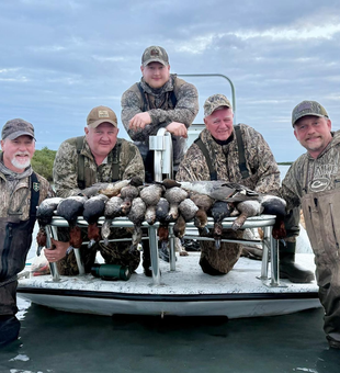 Strong duck hunt limit