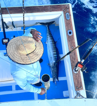 Hooked on the DR’s deep sea treasures! 