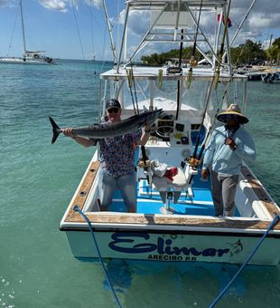 Deep sea success in the tropics