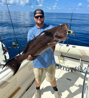 Dropping lines, catching dreams! 
