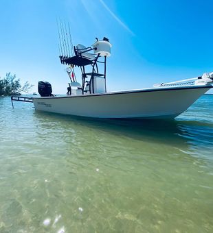 Charter Boat Fishing to Unwind