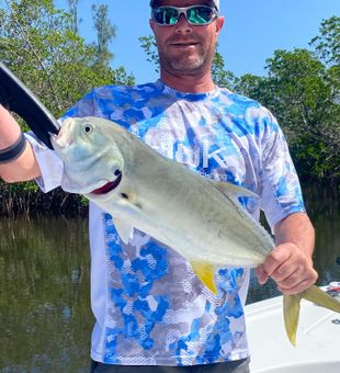 Crevalle Jack Fish in FL