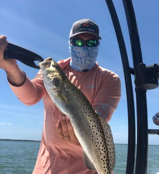 Fishing Charter Cape Coral, Sea Trout Fishing
