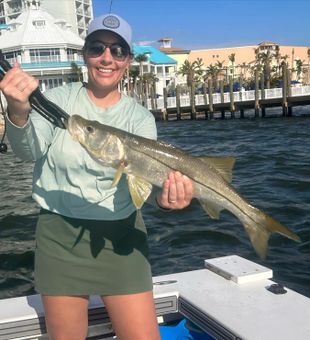 Snook Fish Bounty in Cape Coral FL