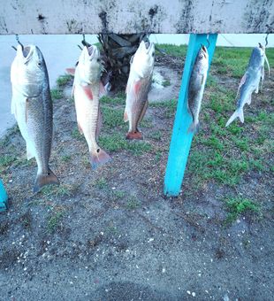 Stacked Reds!