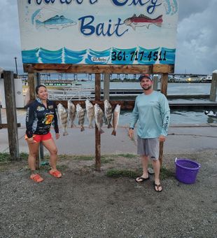 Rockport redfish and black drum making memories!