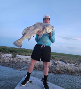 Hook of the day!