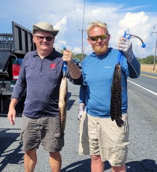 Buddies got a Snakehead