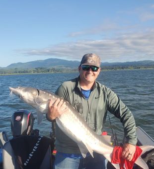 Sturgeon Adventures in Astoria Waters