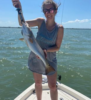 Clearwater Sea Trout Bounty
