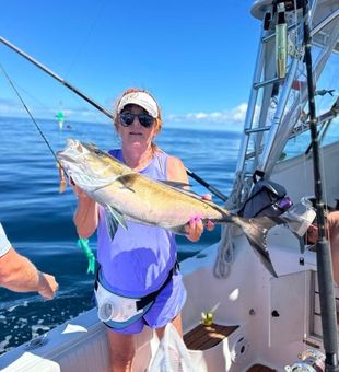 Amberjack in NC