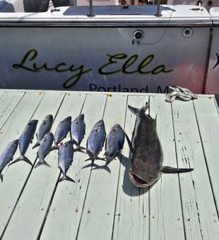 Catch of the day: Wahoo