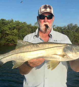 Beautiful St. Petersburg snook ready for the photo!
