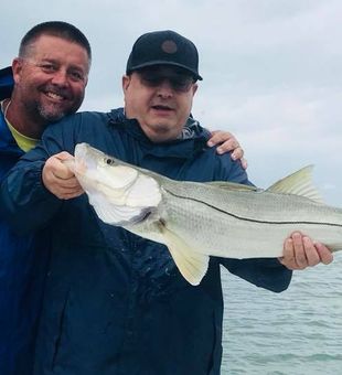 Another beautiful St. Petersburg snook in the boat!