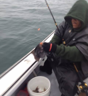 Chasing trophy fish off Cape Cod shores! 