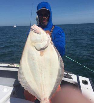 Impressive flatfish catch in Hyannis MA waters!