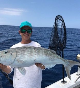 Massive Kona blue marlin haul!