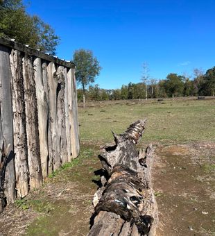 Clean duck harvest lineup