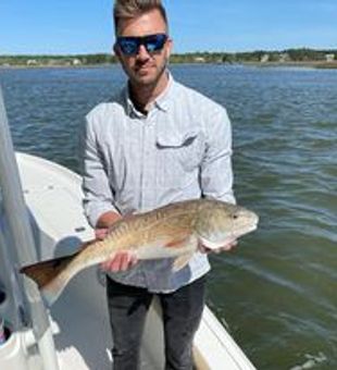 Red Drum season in Mt Pleasant