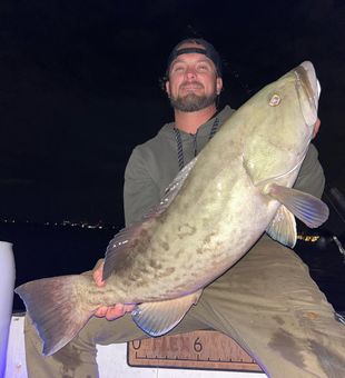 Night fishing Heavy and earned black grouper