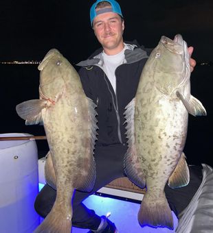 Double and dense black grouper