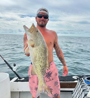 Clean and classic gag grouper