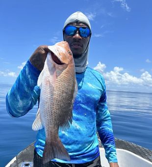 Snapper Fish in Florida Waters