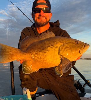 Tampa Bay gag grouper caught at golden hour!