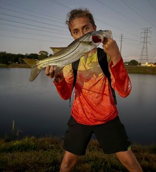 Nice Tampa Bay snook on the line!