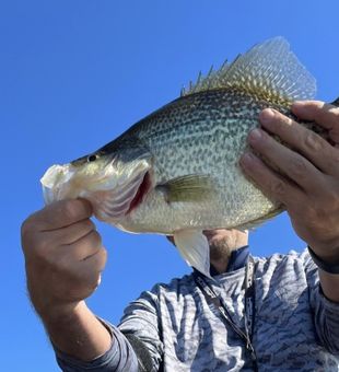 Nice White Lake crappie making the day worthwhile!