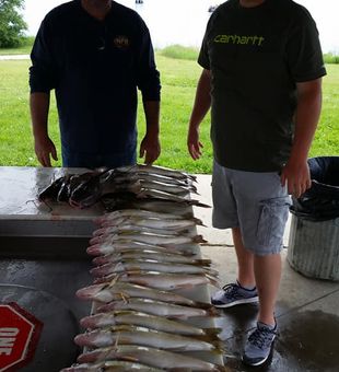 The fish bite better here
