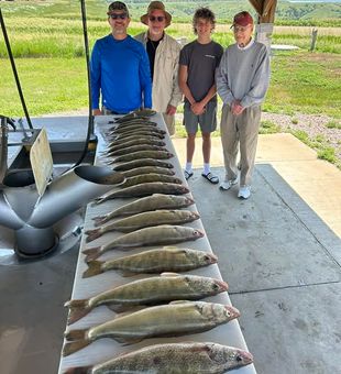 Walleye Haul! - Pierre, SD.