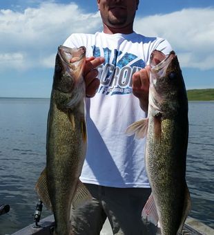 Bait, boat, and a big catch