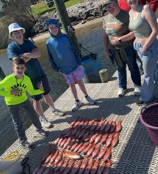 Epic family red snapper haul dockside catch