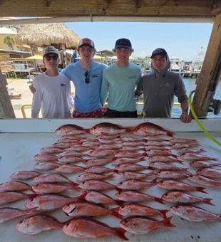 Outstanding red snapper haul from Pensacola waters!