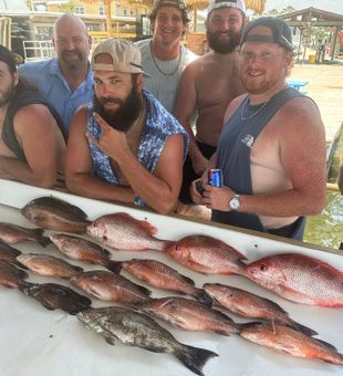 Stacked with red snapper and gag grouper!
