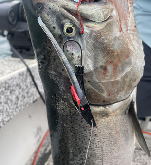 Caught a big one at the lake today!