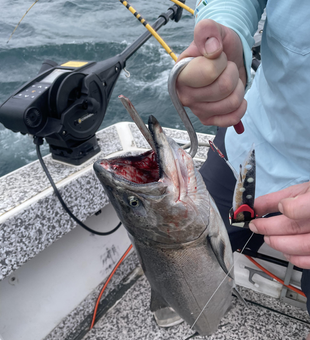 Caught a nice one on the lake today!