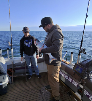 Lake Ontario Chinook salmon from deep trolling success!