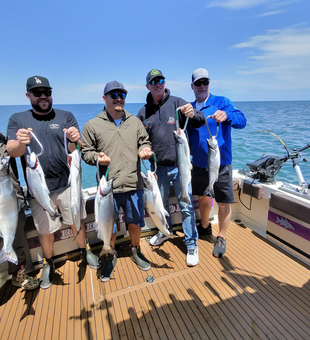 Lake Ontario Chinook and Coho salmon success!