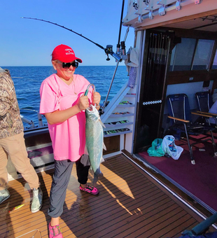 Nice pink salmon landed using deep sea trolling in clear conditions at Olcott NY.